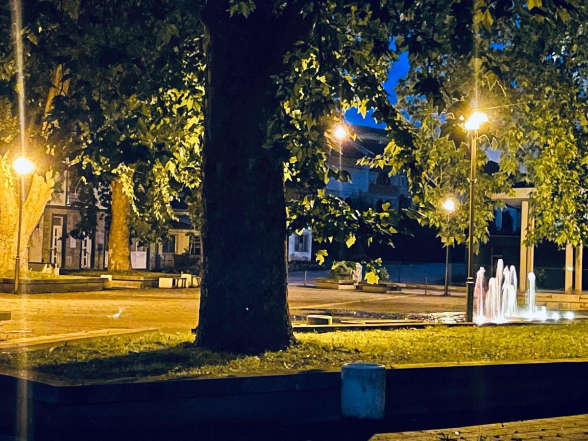 Motel Platani Kotor Varos المظهر الخارجي الصورة